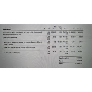 Selle voltaire design