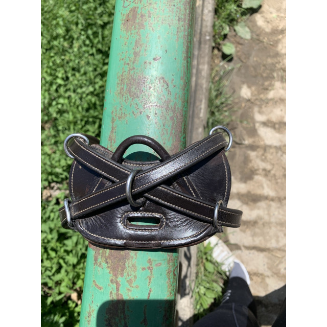 Collier de chasse Dy'on working cob