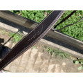 Collier de chasse Dy'on working cob