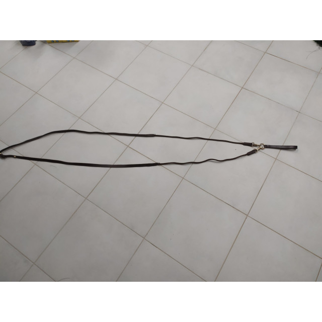 Rêne allemande Éric Thomas taille poney