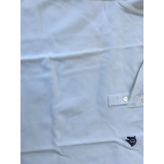 Polo MIASUKI