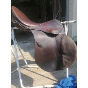 Selle stubben siegfried