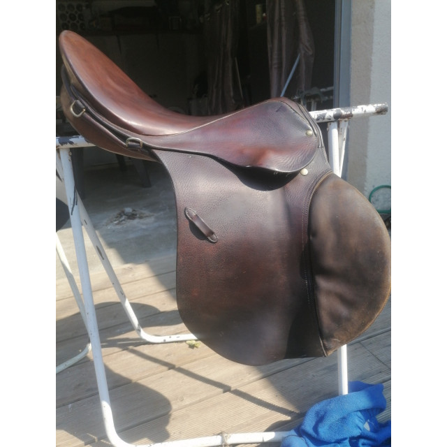 Selle stubben siegfried