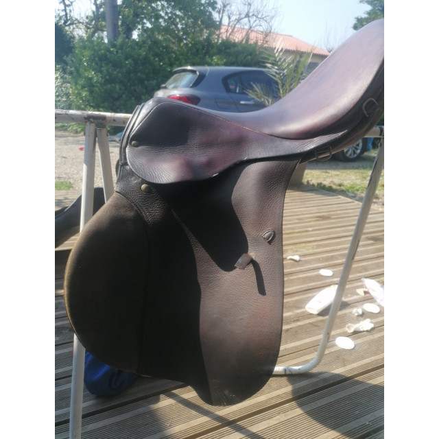 Selle stubben siegfried