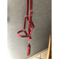 Licol + longe