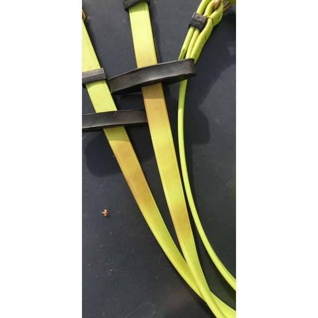 Rênes biotack T de T