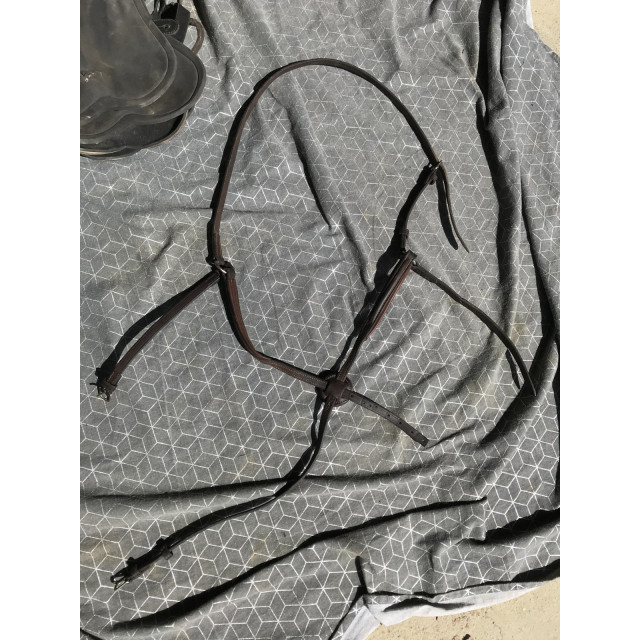 Muserolle croisée cuir