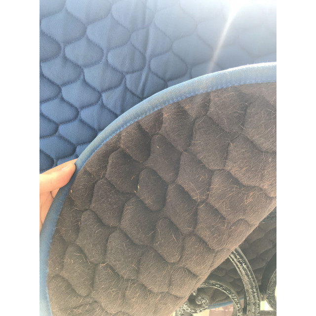 Tapis bleu roi