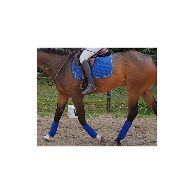 Tapis bleu roi