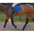 Tapis bleu roi