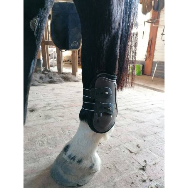 Guêtres et proteges boulets