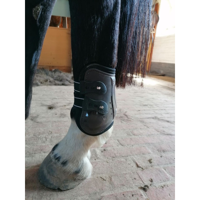 Guêtres et proteges boulets