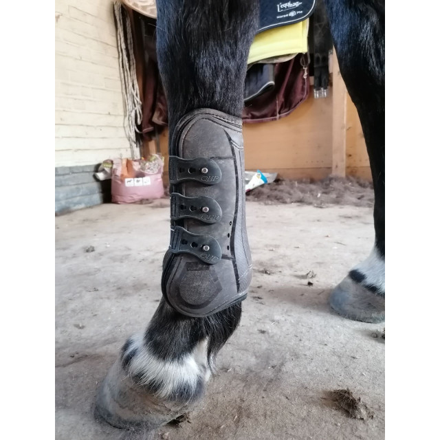 Guêtres et proteges boulets