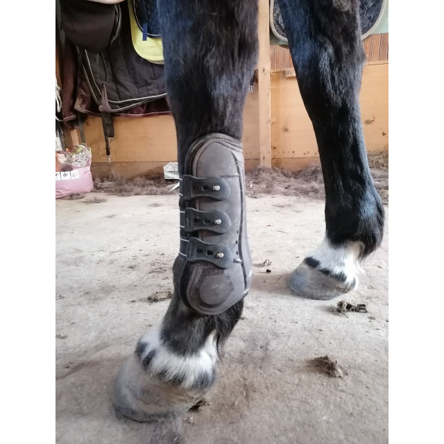 Guêtres et proteges boulets