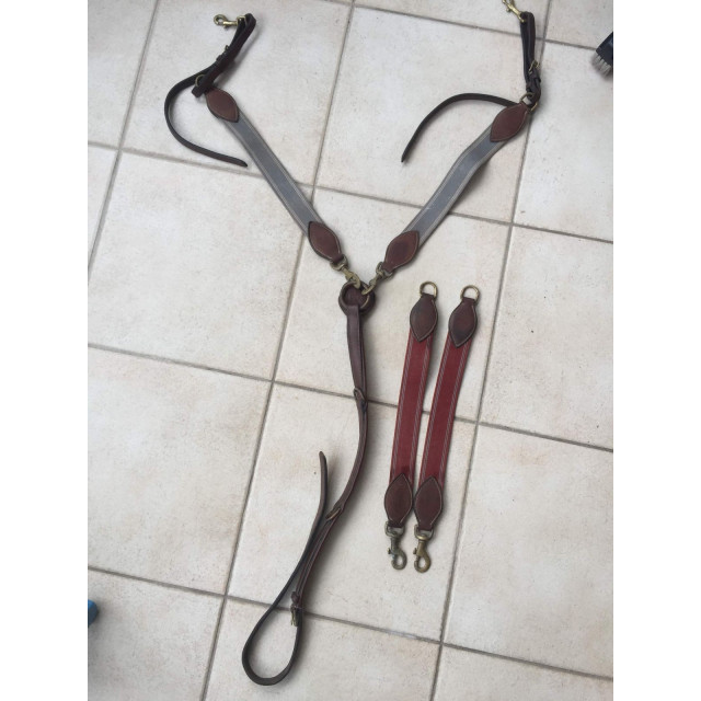 Collier de Chasse élastiques interchangeables