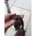 Collier de Chasse élastiques interchangeables