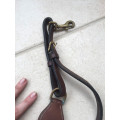 Collier de Chasse élastiques interchangeables