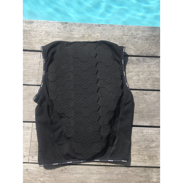 Protège dos Dainese