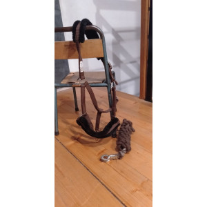 licol marron avec mouton noir showmaster taille shetland / poney C