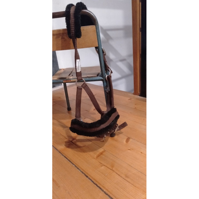 licol marron avec mouton noir showmaster taille shetland / poney C