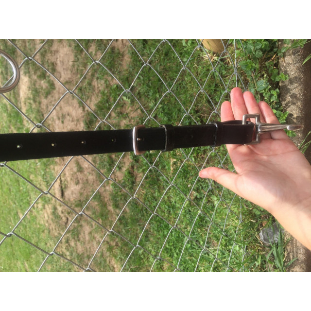 Collier de chasse martingale