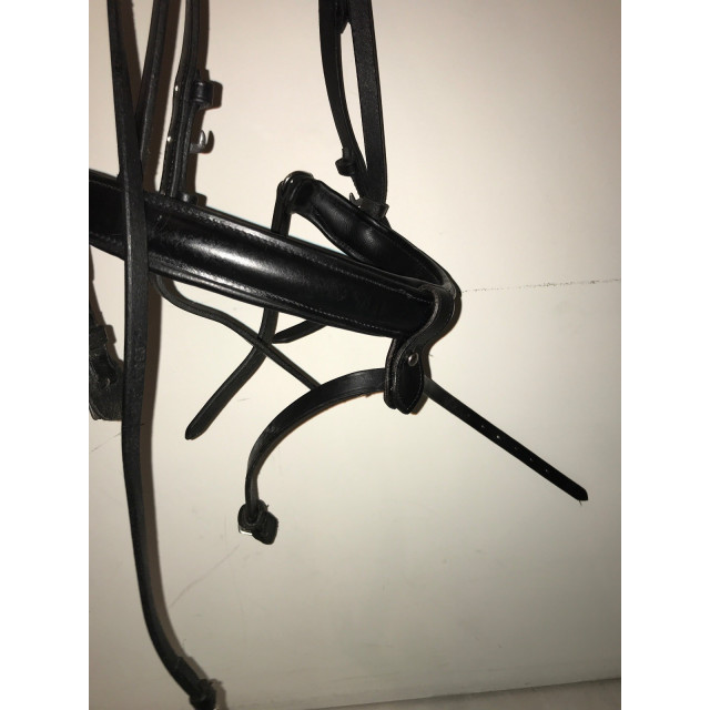 bridon + rênes 580 fouganza strass