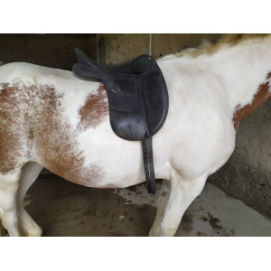 Selle wintec pro dressage