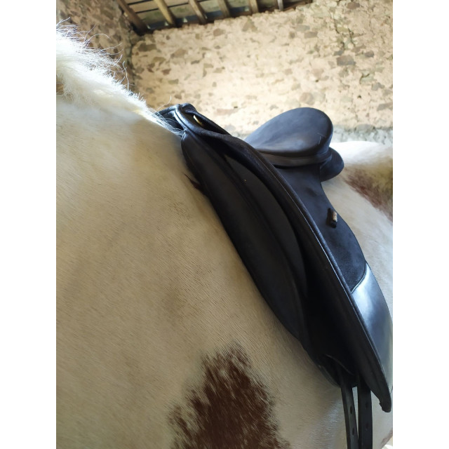 Selle wintec pro dressage