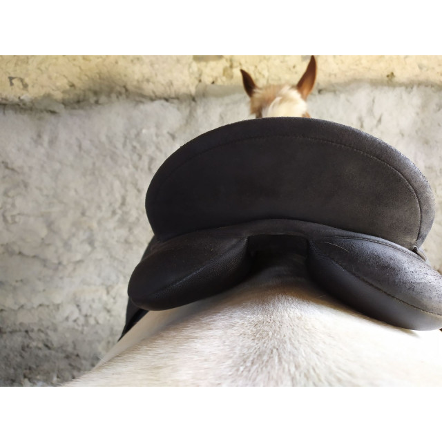 Selle wintec pro dressage