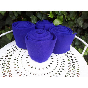 BANDES DE POLOS