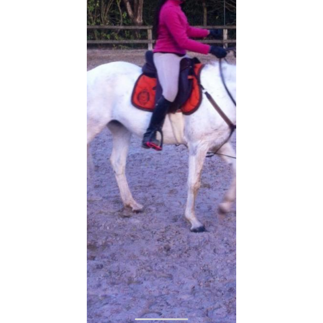 Selle mixte bâtes 17 pouces