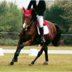 Bonnet anti-mouche Equiline