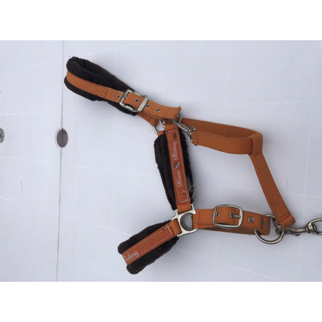 Licol orange