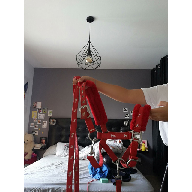 Licol Equithème rouge