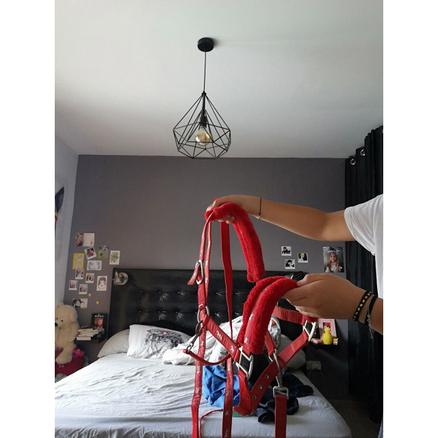 Licol Equithème rouge