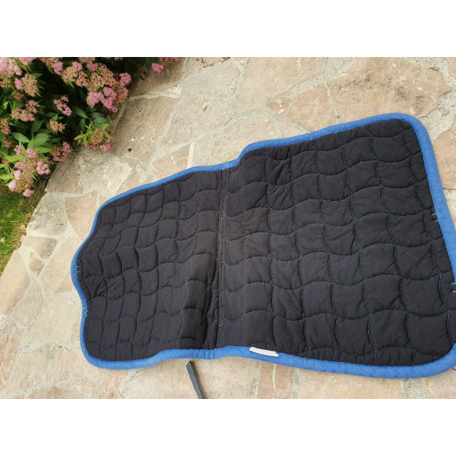 chab fir + equitheme bleu dressage