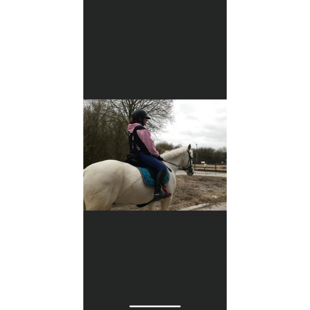 tapis+bandes bleu/gris