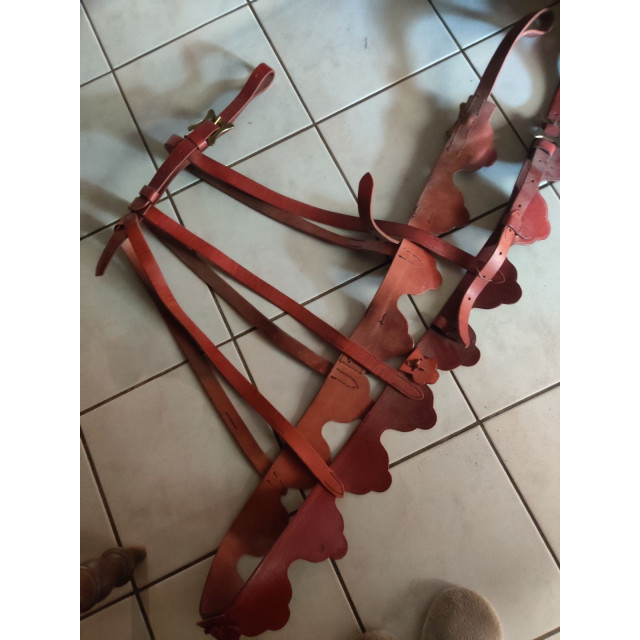 Filet + rênes et harnachement spectacle