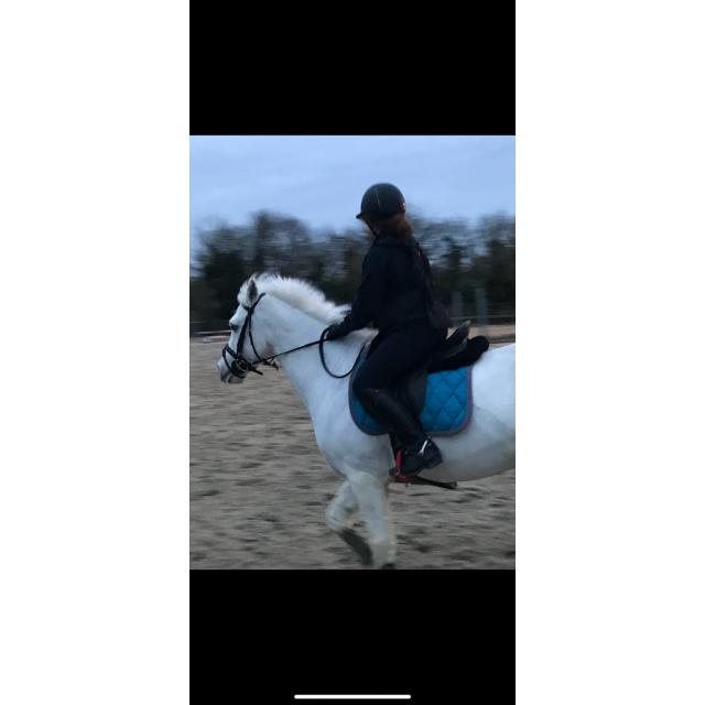 tapis+bandes bleu/gris