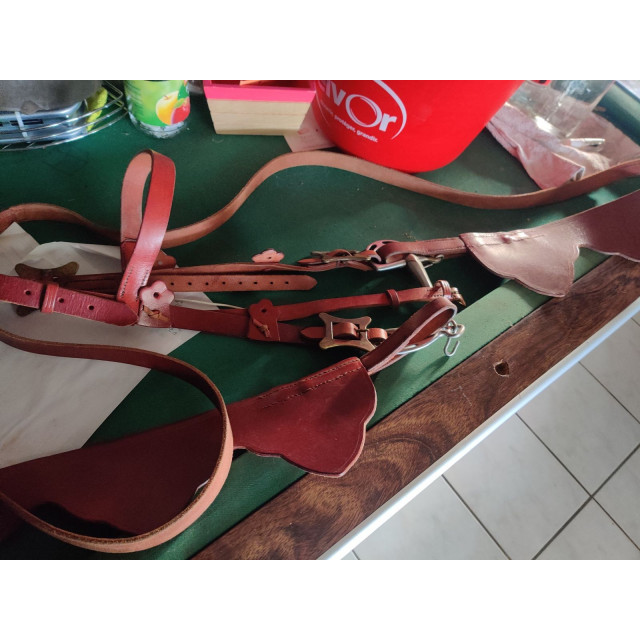 Filet + rênes et harnachement spectacle