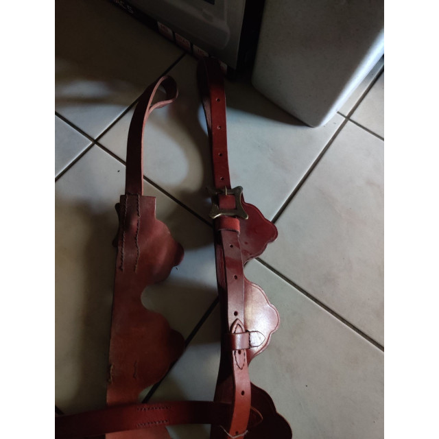 Filet + rênes et harnachement spectacle