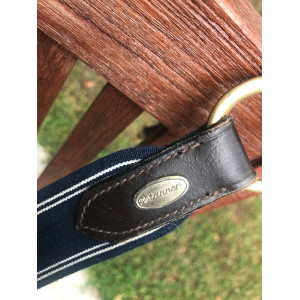 Collier de chasse Protanner