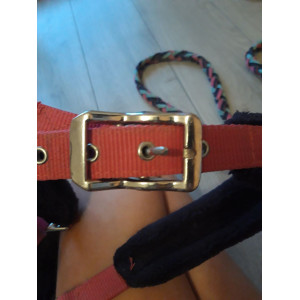 Lot licol + longe rose