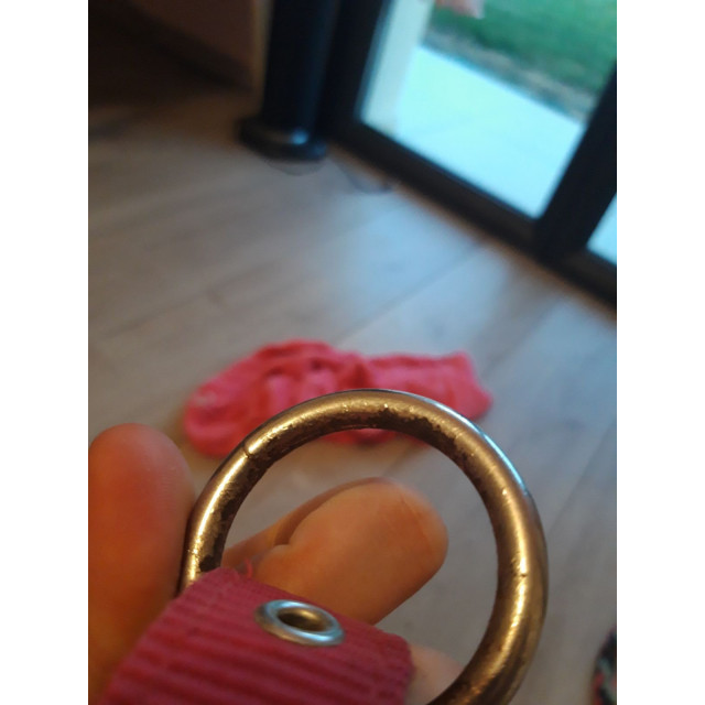 Lot licol + longe rose