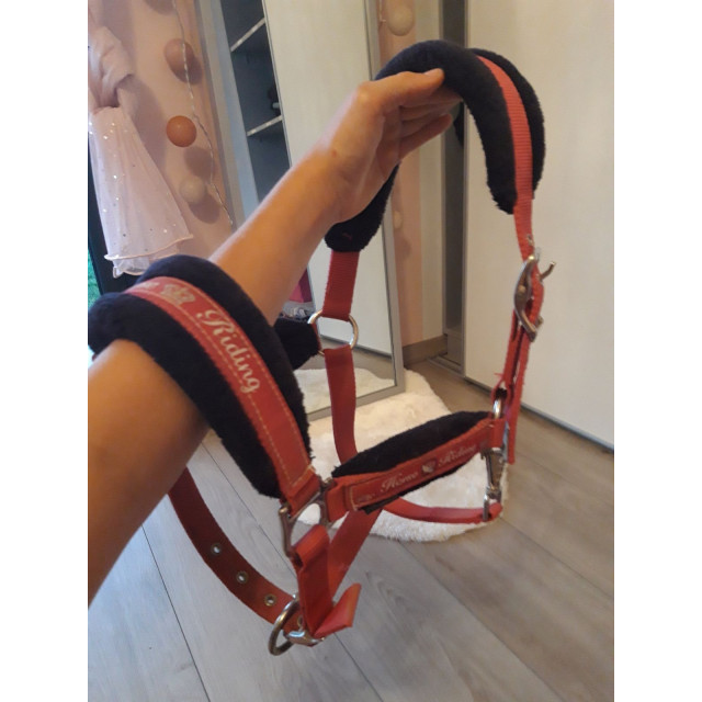 Lot licol + longe rose