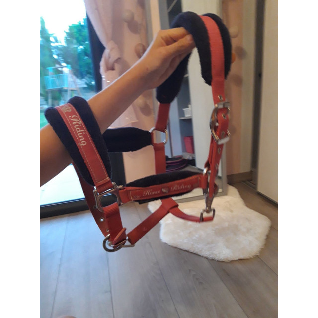 Lot licol + longe rose