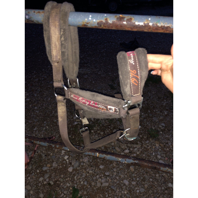 Licol FOUGANZA moumoute