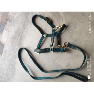 Licol, longe et chasse-mouches Norton