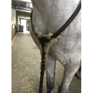 Bande de polo poney