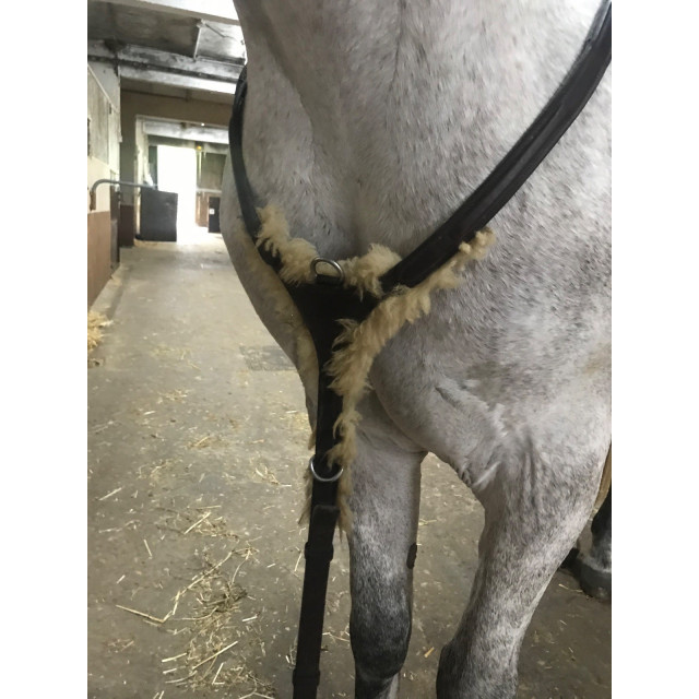 Bande de polo poney